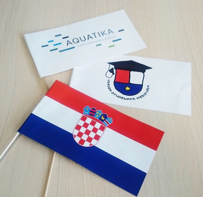 Read more about the article Zastavice raznih dimenzija